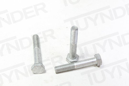 Afbeeldingen van 11288034