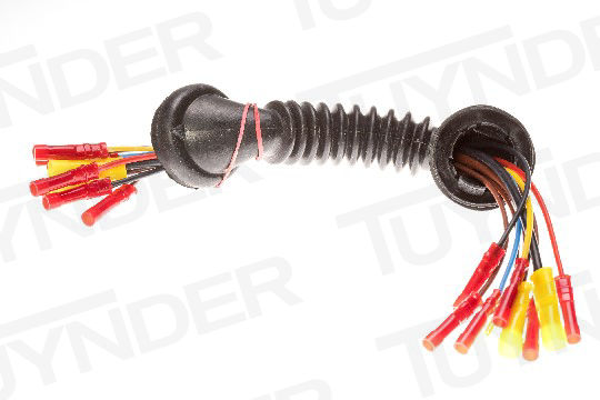 Afbeeldingen van TNI-2850256