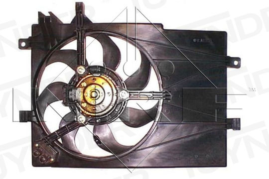 AM